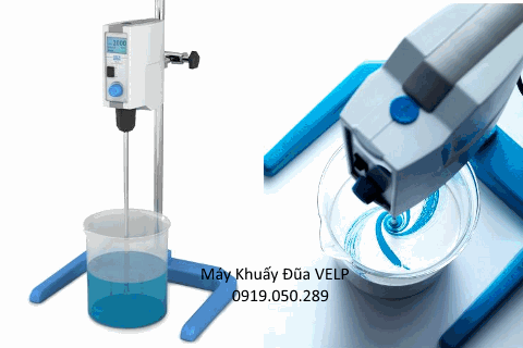 Máy khuấy đũa