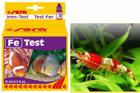 Test Fe Sera Đức